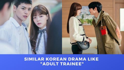 Similar Korean Dramas like Adult Trainee to Watch