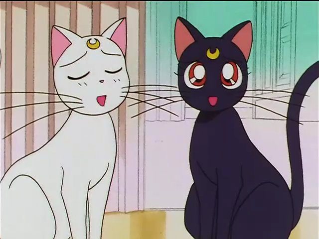  | Best Anime Cats : Revealing Anime's Purr-fection
