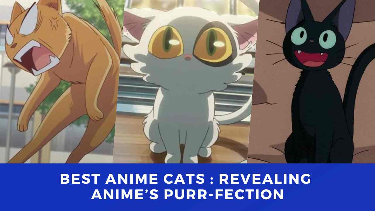 Best Anime Cats : Revealing Anime's Purr-fection - The Drama Paradise