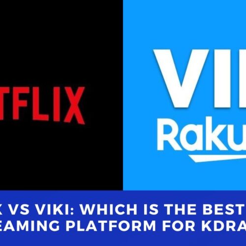 THE DRAMA PARADISE | Netflix Vs Viki: Which is the Best Online Streaming Platform for Korean Dramas in 2023-24?